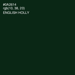 #0A2614 - English Holly Color Image